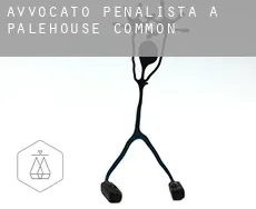 Avvocato penalista a  Palehouse Common