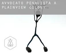 Avvocato penalista a  Plainview Colony