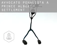 Avvocato penalista a  Prince Albert Settlement