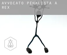 Avvocato penalista a  Rex