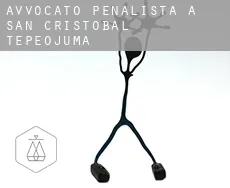 Avvocato penalista a  San Cristobal Tepeojuma