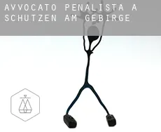 Avvocato penalista a  Schützen am Gebirge