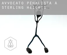 Avvocato penalista a  Sterling Heights
