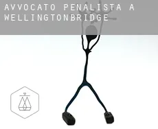 Avvocato penalista a Wellingtonbridge