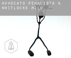 Avvocato penalista a  Whitlocks Mill