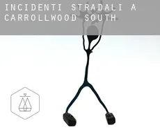 Incidenti stradali a  Carrollwood South