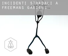 Incidenti stradali a  Freemans Gardens