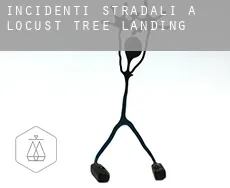 Incidenti stradali a  Locust Tree Landing