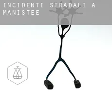 Incidenti stradali a  Manistee
