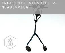 Incidenti stradali a  Meadowview