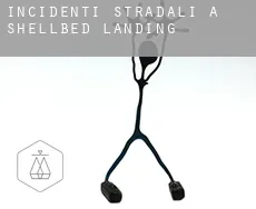 Incidenti stradali a  Shellbed Landing