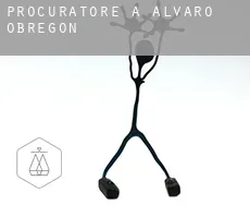 Procuratore a  Álvaro Obregón