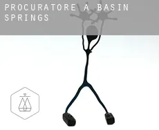Procuratore a  Basin Springs