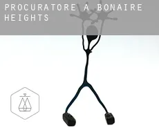 Procuratore a  Bonaire Heights