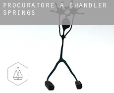 Procuratore a  Chandler Springs