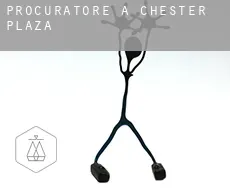 Procuratore a  Chester Plaza