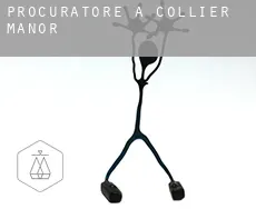 Procuratore a  Collier Manor