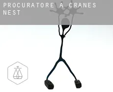 Procuratore a  Cranes Nest