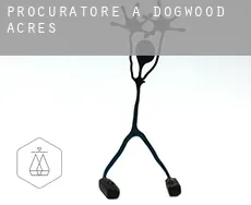 Procuratore a  Dogwood Acres