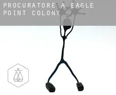 Procuratore a  Eagle Point Colony