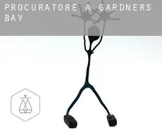 Procuratore a  Gardners Bay
