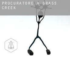 Procuratore a  Grass Creek