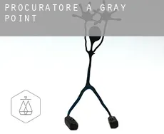 Procuratore a  Gray Point