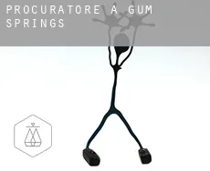 Procuratore a  Gum Springs