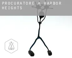 Procuratore a  Harbor Heights