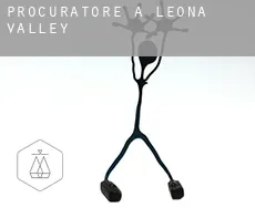 Procuratore a  Leona Valley