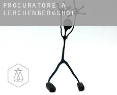 Procuratore a  Lerchenbergshof