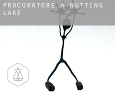 Procuratore a Nutting Lake