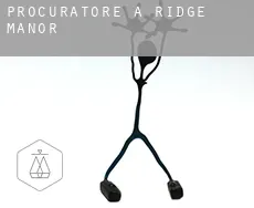 Procuratore a  Ridge Manor