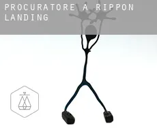 Procuratore a  Rippon Landing