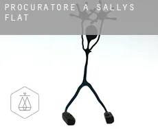 Procuratore a  Sallys Flat