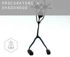 Procuratore a  Shadowood