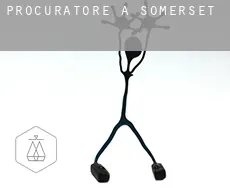 Procuratore a  Somerset