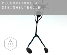 Procuratore a  Steinheuterode