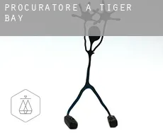 Procuratore a  Tiger Bay