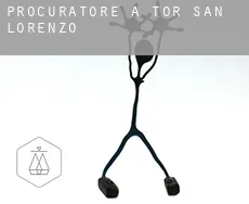 Procuratore a  Tor San Lorenzo