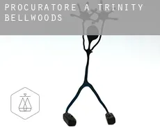 Procuratore a  Trinity-Bellwoods