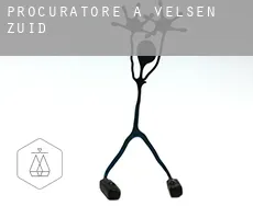 Procuratore a Velsen