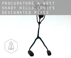 Procuratore a  West Shady Hills