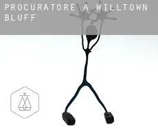 Procuratore a  Willtown Bluff