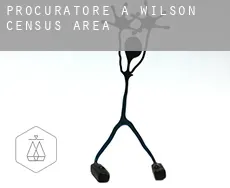 Procuratore a  Wilson (census area)