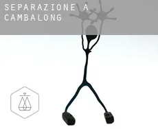 Separazione a Cambalong