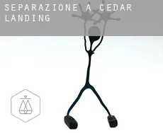 Separazione a  Cedar Landing
