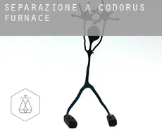 Separazione a  Codorus Furnace