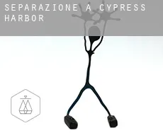 Separazione a  Cypress Harbor