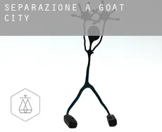 Separazione a Goat City